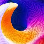 10 Reasons To Start Your Own, Profitable Website!